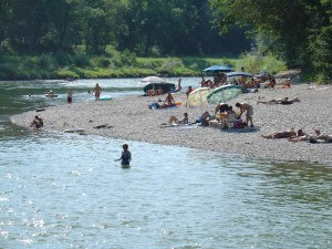 Eine Mehrheit der Bevölkerung am Alpenrhein wünscht sich einen natürlicheren Fluss mit einem höheren Erholungswert wie hier an der Thur (©Christian Göldi)